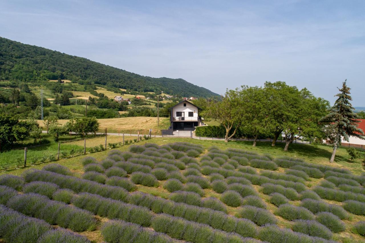 Vacation Home - Nest Kalnik Exterior photo